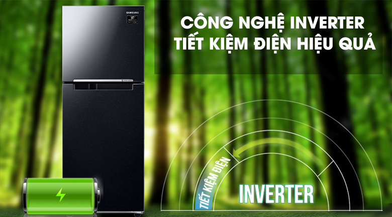 inverter tiết kiệm điện - Tủ lạnh Samsung Inverter 208 lít RT20HAR8DBU/SV