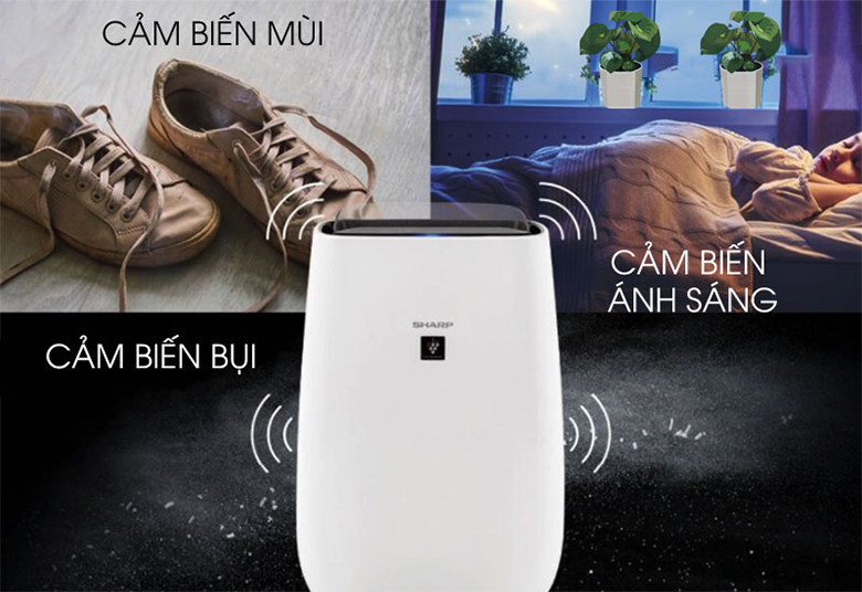 Máy lọc không khí Sharp FP-J40E-W cảm biến tự động